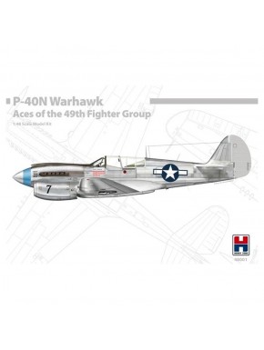 Maquette 1/48 P-40N Warhawk Aces du 49e Fighter Group