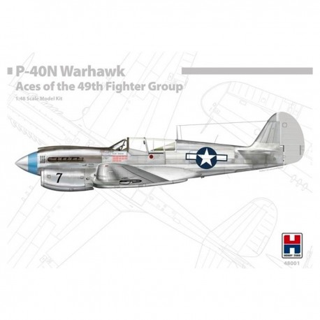 Maquete 1/48 P-40N Warhawk Ases do 49º Grupo de Caça