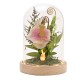 Lampe décorative Moana sous cloche de verre avec fleurs.