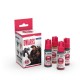 Conjunto de tintas Dwarfs QUICK GEN da AK-Interactive