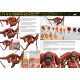 Libro español Pintura de Figuras de Animales AK Interactive