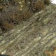 Terrenos Suelo Húmedo textura para dioramas
