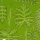 Set de plantes de jungle pour dioramas AK-Interactive