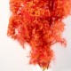 Buissons de fantaisie rouge-orange dans blister transparent