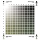 Ensemble de peinture Dual Exo Ghost Green et Rebel Green