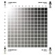 Set de peinture Dual Exo Starship et NCC Grey