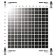 Set de pintura Dual Exo 19 de AK-Interactive