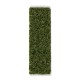 Feuillage vert d'arbustes et feuilles allongées par AK-Interactive