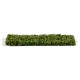 Follaje Plátano Verano AK-Interactive para dioramas