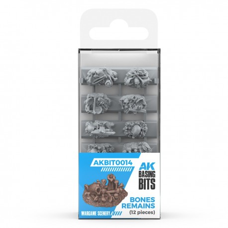 Conjunto de 12 fragmentos de ossos ancestrais