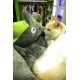 Lit pour animaux Totoro