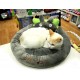 Totoro pet bed