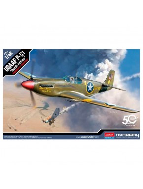 Maquette de l'avion USAAF P-51 North Africa à l'échelle 1/48