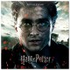 Calendrier mural 2019 Harry Potter 30x30