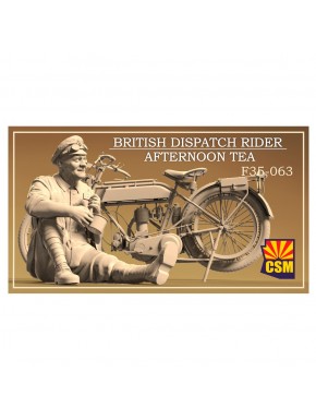 Figura 1/35 de un piloto mensajero británico