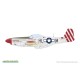 Kit de modèle P-51D-5 Mustang 1/72 Eduard