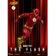 Figurine The Flash DC Comics 20 cm