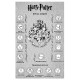 Wand combat with infrared Voldemort Harry Potter