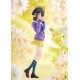 Estatua de Kotono Shiunji de 22 cm en PVC, anime The Shiunji Family Children