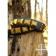 Ceinture médiévale en cuir noir avec décorations en laiton