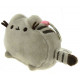 Keychain En Peluche Pusheen Le Chat