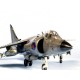Maquette 1/48 Royal Navy Sea Harrier FRS.1 par Tamiya