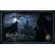 Puzzle di Harry Potter Vivere a Hogwarts 1000 pezzi