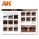 Couverture du livre Flesh & Skin d'AK Learning