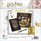 Set Caja de Regalo Harry Potter Deluxe