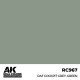 Peinture RAF Cockpit Grey-Green AK-Interactive
