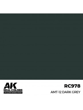 Bouteille de peinture AMT-12 Dark Grey par AK-Interactive