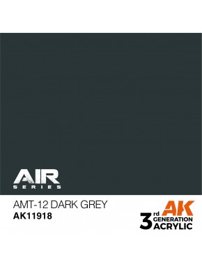Peinture acrylique gris foncé AK-Interactive AMT-12
