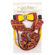 Set accesorios para el pelo Harry Potter Gryffindor Trendy