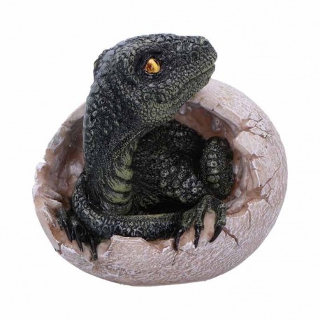 Figurine de raptor émergeant d'un œuf, Nemesis Now