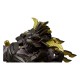 Maquette articulée Knuckle Kong Rajang de Zoids 17 cm