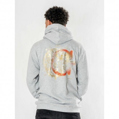Sweat à capuche gris Gryffondor Zodiac Harry Potter