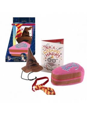 Set d'anniversaire pour animaux Harry Potter avec chapeau et cravate