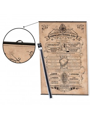 Póster maxi de Harry Potter con colgador