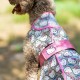 Impermeable ajustable para perro de Hello Kitty en EVA