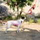 Impermeable ajustable para perro de Hello Kitty en EVA