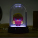Mini Lamp Harry Potter Luna Lovegood Kawaii
