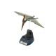 Maquette Pteranodon 1/35 par Tamiya