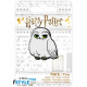 Pin Hedwig Harry Potter