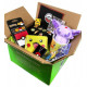 Caja sorpresa Pokemon Edition