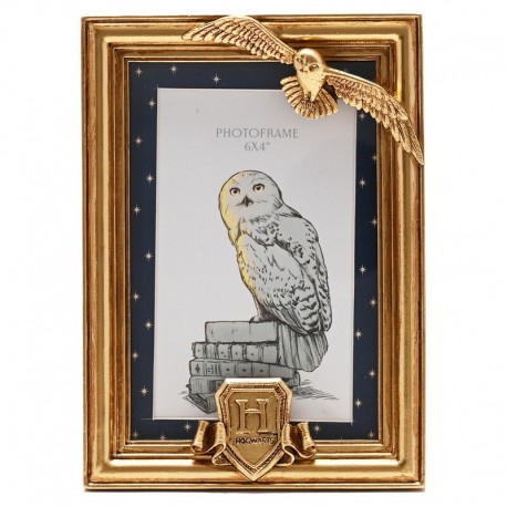 Moldura dourada Hedwig Harry Potter