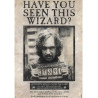 Affiche Voulais Sirius Black, Harry Potter
