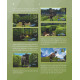 Encyclopedia of Strategy for Fortniters