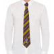 Corbata Harry Potter Gryffindor Snitch