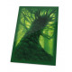Fundas de cartas tamaño estándar Lands Edición Bosque Ultimate Guard 80