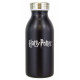 Botella Harry Potter Trouble Finds Me